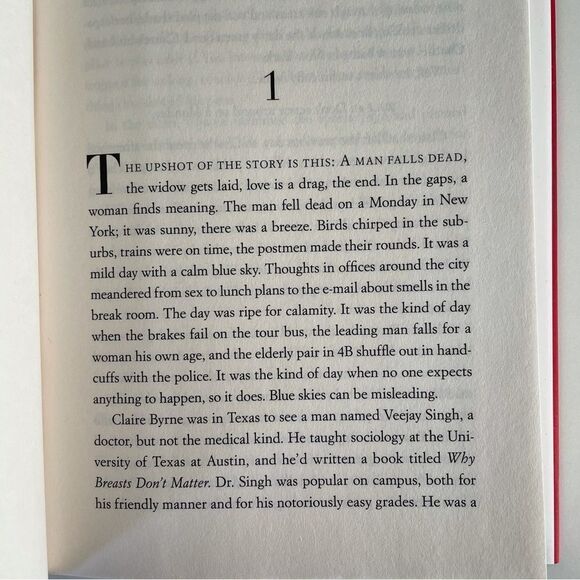 BOOK, The Widow’s Guide to Sex & Dating, a novel, 302 pages, Fiction, NOS - Picture 4 of 16